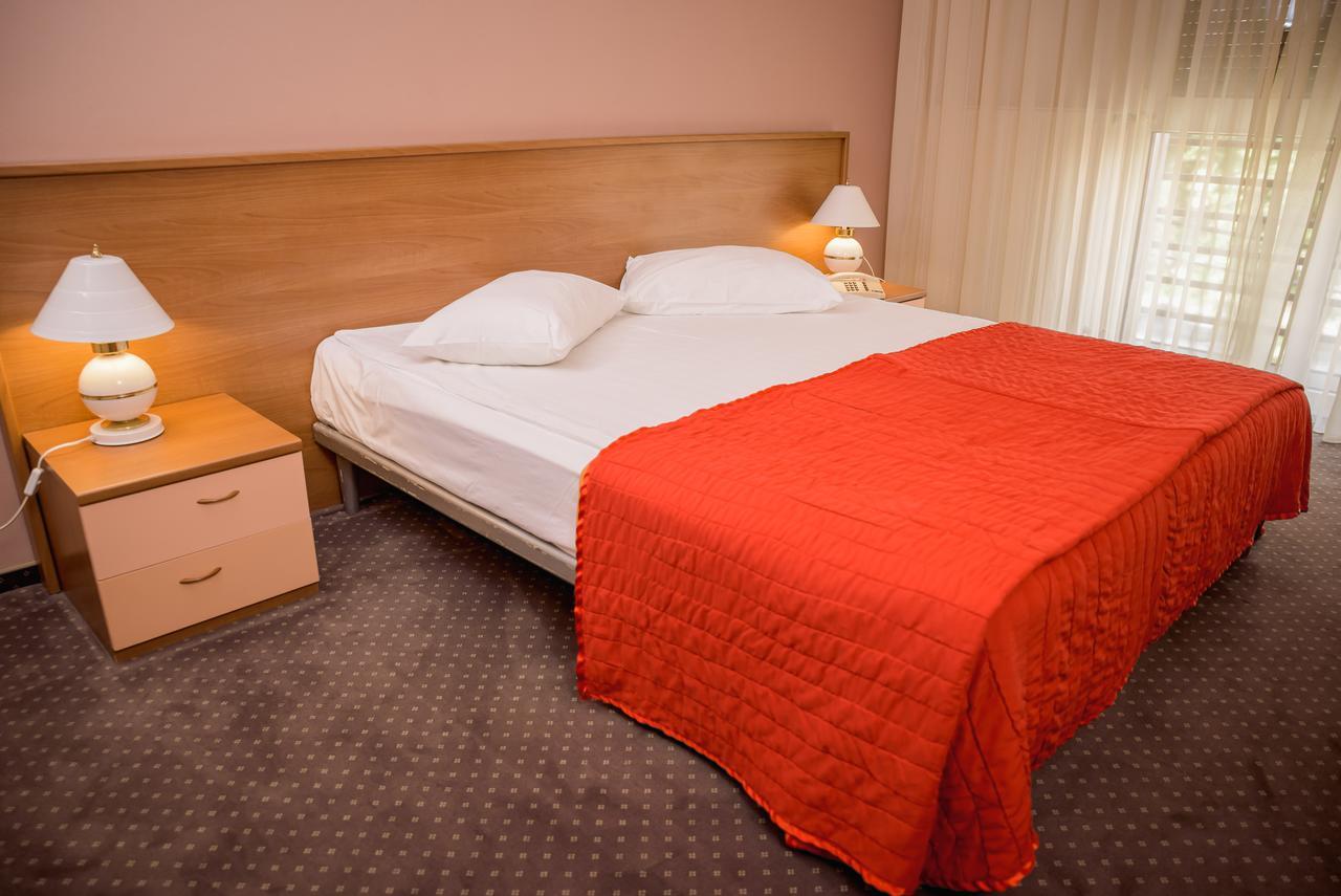Hotel Reghina Timişoara Extérieur photo